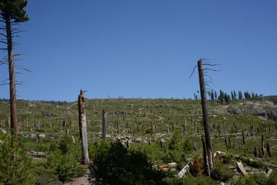 DSC_3783 (Large).JPG